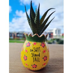 Pineapple Faux Succulent